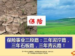 保险事业三段路三年泥泞路三年石板路三年青云路10页.ppt