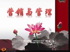 保险营销与团队管理一分为二合二为一31页.ppt