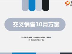 交叉销售2015年10月方案奖励床上用品11页.ppt