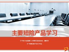 国寿主要短险产品学习29页.ppt