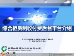 2015综合柜员收付费后督平台介绍国寿版24页.ppt