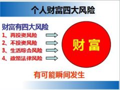 私人财富保卫战财富产说会新华版72页.ppt