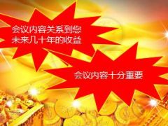 旅游产说会流程VIP客户体验回馈活动46页.ppt