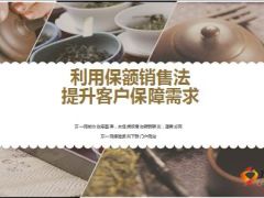 利用保额销售法提升客户保障需求操作要点28页.ppt