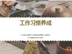 工作习惯养成操作要点19页.ppt