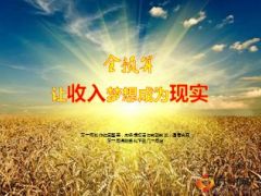 全预算让梦想成为现实客户经营树立险商观念含备注84页.ppt