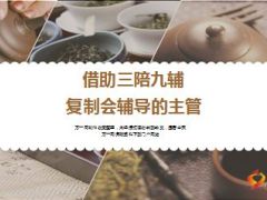 借助三陪九辅复制会辅导的主管16页.ppt