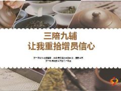 三陪九辅让我重拾增员信心14页.ppt