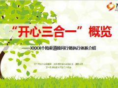 个险渠道顾问行销执行体系介绍30页.ppt