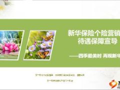 新华保险个险营销员待遇保障基本法宣导30页.ppt