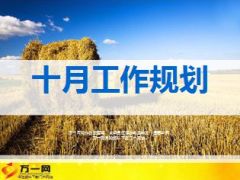 十月工作规划会目标设定节奏配置重点36页.ppt