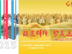 中支主险举绩全预算工作推进会10页.ppt