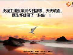 央视主播张泉灵今日辞职天天咳血医生怀疑得了肺癌10页.ppt