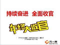 年终收官四季度个险发展支持方案宣导25页.ppt