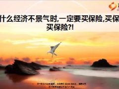 为什么经济不景气时一定要买保险14页.ppt