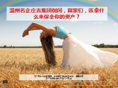 温州名企庄吉集团倒闭12页.ppt