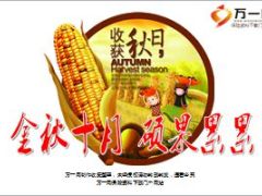 2015金秋十月硕果累累业务增员方案宣导43页.ppt