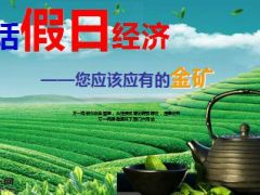 2015年国庆节假日经济假日营销36页.ppt