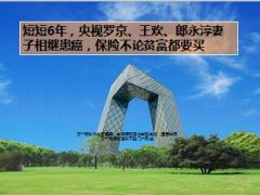 短短6年央视罗京王欢郎永淳妻子相继患癌10页.ppt