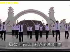 视频自由自在晨操手语操.rar