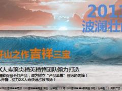 富德生命吉祥安康保险产品启动篇37页.ppt