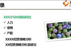 分公司经营策略分析及建议报告33页.ppt