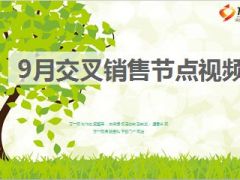 9月交叉销售节点视频会模板12页.ppt