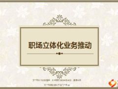 职场立体化业务推动功能意义原则方法技巧56页.ppt