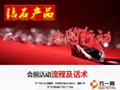 钻石产品抢购活动会前活动流程及话术15页.ppt