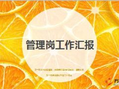 人员管理岗工作流程汇报20页.ppt