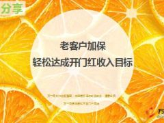 资深分享老客户加保轻松达成收入目标17页.ppt