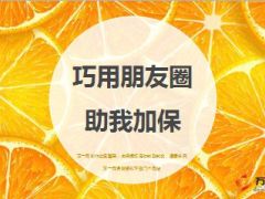 绩优分享巧用朋友圈助我加保17页.ppt