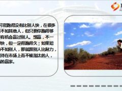 想赢一定要跑得比别人久每天都是积累过程9页.ppt