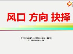 励志专题寿险业风口方向抉择30页.ppt