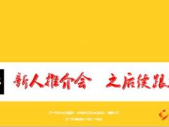 新人推介会后续推进35页.ppt