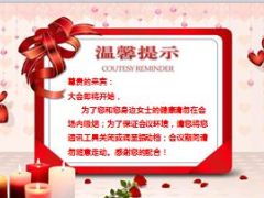 产说会VIP客户升级活动流程国寿版57页.ppt