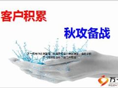 寿险营销目标坚持区域工具标准服务19页.ppt