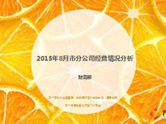 分公司财务部2015年月度预算执行情况分析27页.ppt