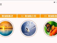 阳光保险附加险组合产品介绍43页.ppt