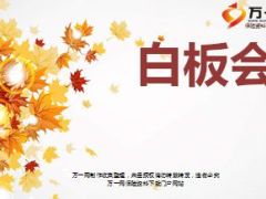 小交会白板会操作细则流程展示延伸思考备注27页.ppt