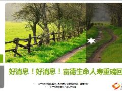 富德生命人寿绿通就医服务介绍截图格式29页.ppt