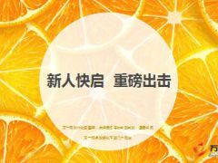 新人快启养成训练目的优势内容实操25页.ppt
