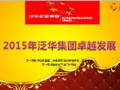2015年泛华集团卓越发展8页.ppt