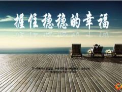 大型保险宣讲活动健康养老产说会国寿大瑞鑫74页.ppt