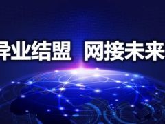 2015大型增员方案解读泛华版动态音乐94页.ppt