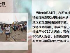 沙特朝圣踩踏717人死亡假日出行避开人群请买好保险12页.ppt