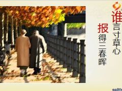 2015重阳节客户积累活动9页.ppt