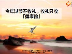 今年过节不收礼收礼只收健康险14页.ppt