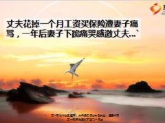 丈夫花一月工资买保险遭妻子痛骂一年后车祸妻子下跪痛哭12页.ppt