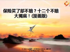 车险十二个不赔大揭底漫画版13页.ppt